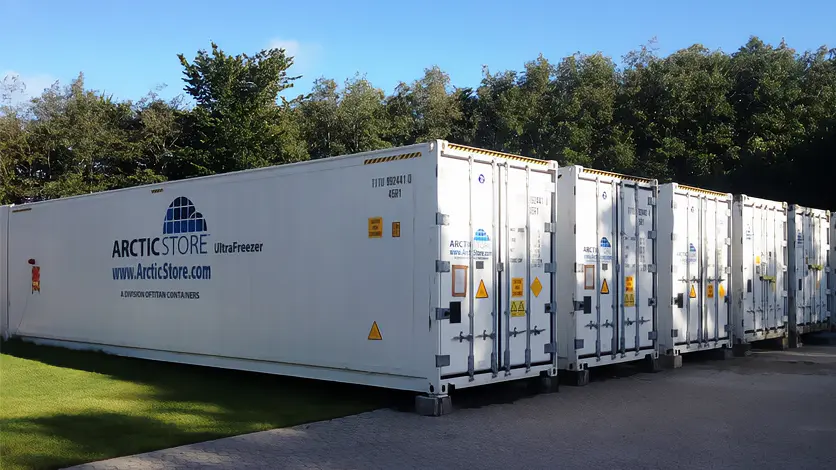 Arctic Ultrafreezer Ultra Low Temperature Cold Storage - Refrigerated Containers for Hire_3