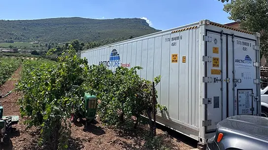 ArcticStore Greece Wineries
